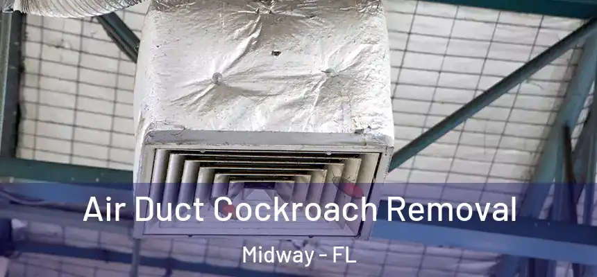 Air Duct Cockroach Removal Midway - FL