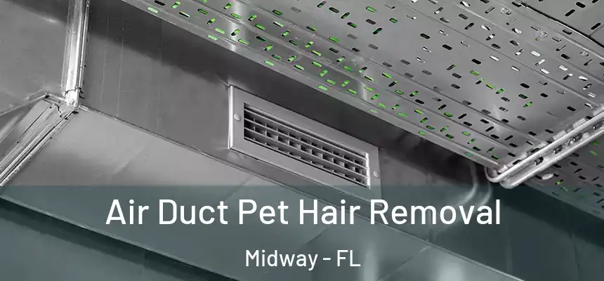 Air Duct Pet Hair Removal Midway - FL