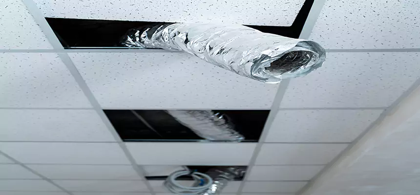 Affordable HVAC Sanitizing After Pest Removal in Midway