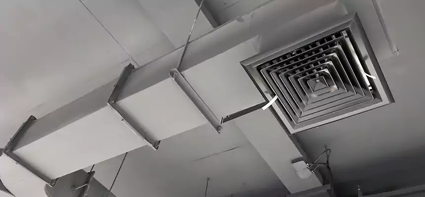 Restorative Allergy Relief Vent Cleaning – Coil, Blower & Housing Detail in Midway