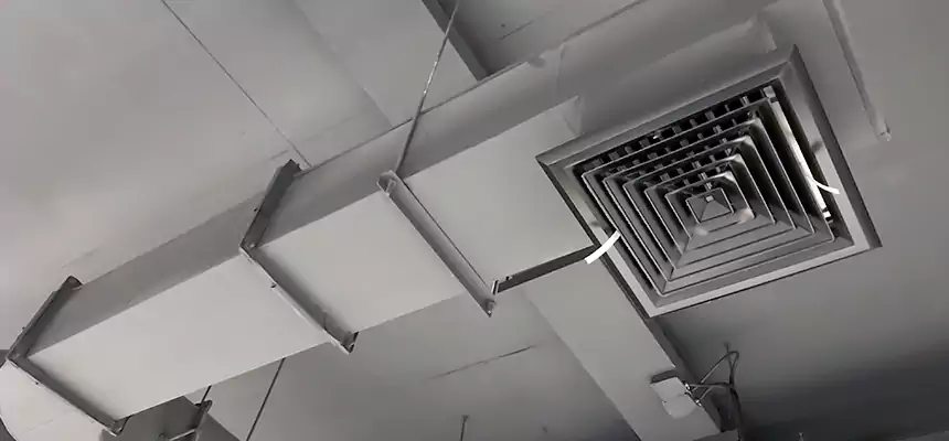 Our Pest Removal From Ducts Services in Midway, FL