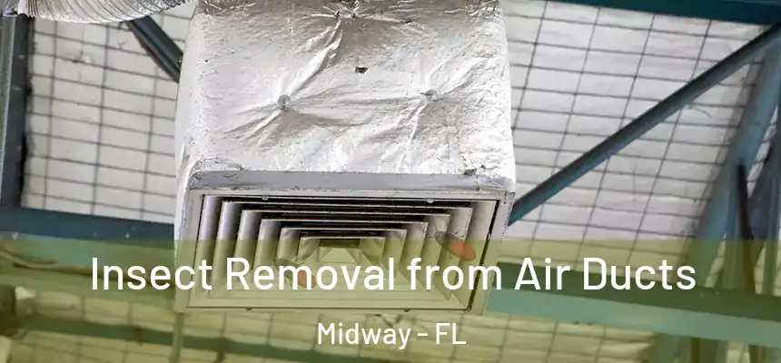 Insect Removal from Air Ducts Midway - FL