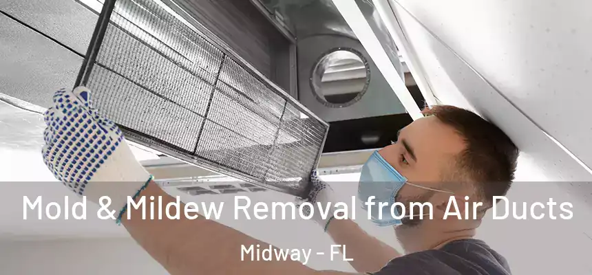 Mold & Mildew Removal from Air Ducts Midway - FL