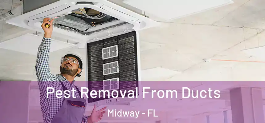 Pest Removal From Ducts Midway - FL