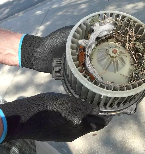 About Air Duct Mice Removal in Midway, FL