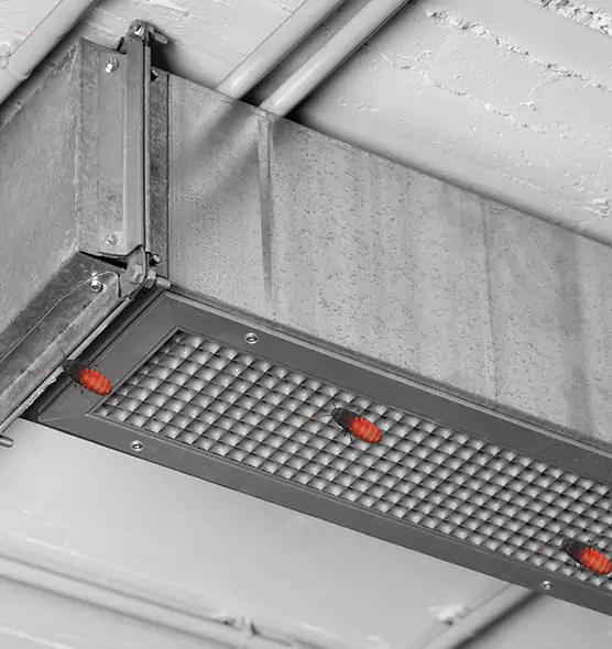 Affordable Insect Removal from Air Ducts in Midway, FL