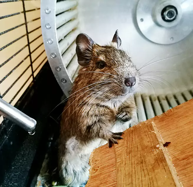 Why Homeowners & Businesses Trust Us Midway, FL?