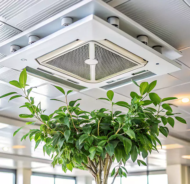 Why Homeowners & Businesses Trust Us in Midway, FL?